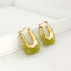Women's Geometric Ushaped Resin Earrings Fashion Jewelry Accessories