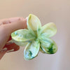 Women's Handmade Acetic Acid Hair Clip Vacation Style For Summer