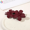 Women's Handmade Frosted Colorful Resin Duckbill Hair Clip Large Side Clip For Bangs