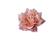 Women's Handmade Plant Flowers Side Clip Brooch Hairpin Hair Accessory