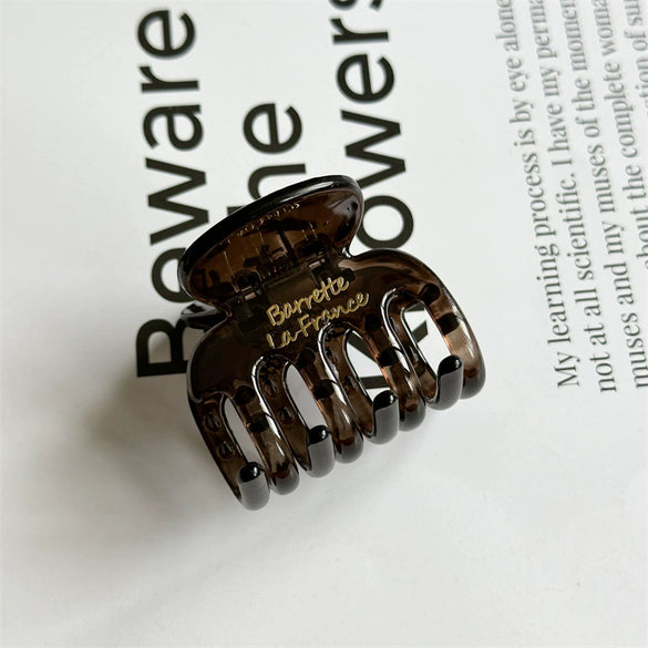 Women's Handmade Resin And Plastic Hair Claw Clip Simple Style