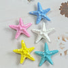Women's Handmade Starfish Mixed Materials Hairpin Summer Vacation Side Hair Accessory Bangs Clip