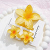 Women's Headwear Flower Clip Threepiece Set Egg Flower Shark Clip Paint Style