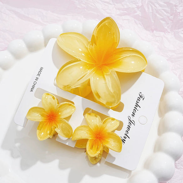 Women's Headwear Flower Clip Threepiece Set Egg Flower Shark Clip Paint Style