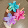 Women's Highend Plastic And Resin Hairpin With Baking Paint Egg Flower Design