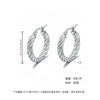 Women's Light Luxury Geometric Titanium Steel Electroplated Circle Earrings