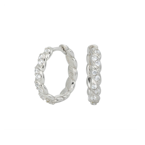 Women's Light Luxury Silver Inlaid Zircon Ushape Earrings