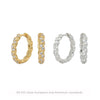 Women's Light Luxury Silver Inlaid Zircon Ushape Earrings