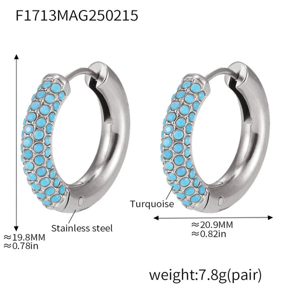 Women's Light Luxury 316L Stainless Steel Geometric Electroplated Circle Zircon Earrings