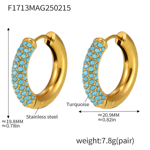 Women's Light Luxury 316L Stainless Steel Geometric Electroplated Circle Zircon Earrings
