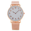 Women's Metal And Stainless Steel Mesh Strap Round Dial Fashion Quartz Watch