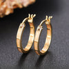 Women's Metal Electroplating Geometric Design Casual Earrings With Imitation Moonstone
