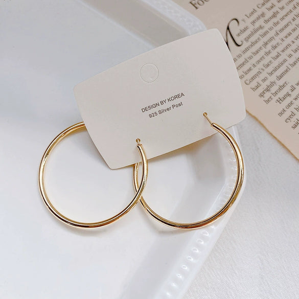 Women's Metal Hoop Earrings 925 Silver Needle Geometric Style Electroplated