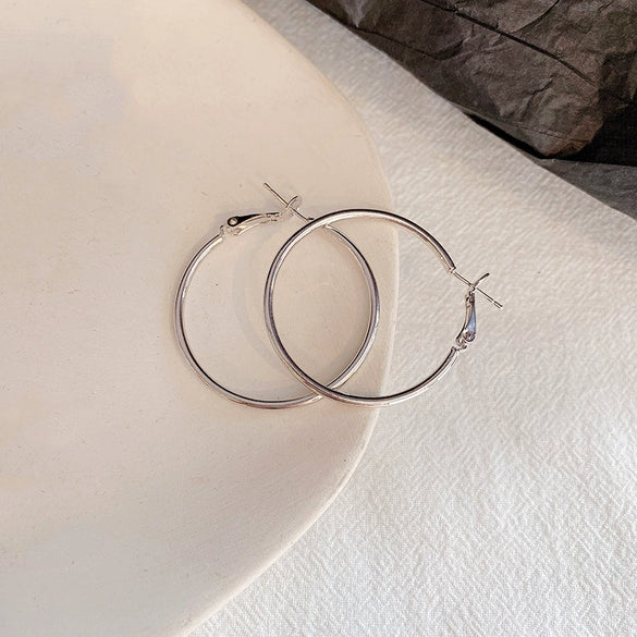 Women's Metal Hoop Earrings 925 Silver Needle Geometric Style Electroplated