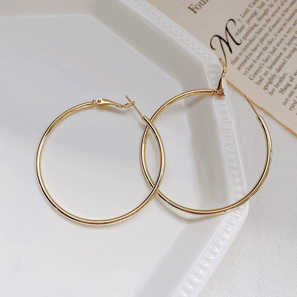 Women's Metal Hoop Earrings 925 Silver Needle Geometric Style Electroplated