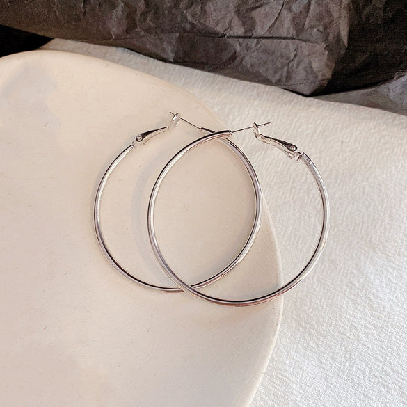 Women's Metal Hoop Earrings 925 Silver Needle Geometric Style Electroplated