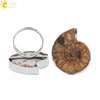 Women's Minimalist Natural Shell Fossil Ring Bright Cut Creative Open Stainless Steel Ring
