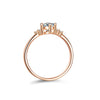 Women's Moissanite Ring Silver Princess Crown Style Plated Champagne Gold