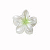 Women's Pearl Flower Hairpin With Baking Paint Plant Flowers Style Shark Clip Hair Accessory