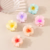 Women's Petals Hair Accessories Grab Clip With Flower Style And Paint Treatment