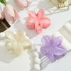 Women's Plastic And Resin Flower Grab Clip Threepiece Set With Baking Paint Highend Style