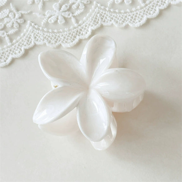Women's Plastic And Resin Hair Clip Fashion Ol Style Ink Texture Polish Processed