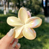 Women's Plastic And Resin Hair Clip With Butterfly And Egg Flower Design And Uv Plating