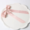 Women's Plastic And Resin Handmade Bow Spring Clip Hairpin Hair Accessories