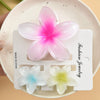 Women's Plastic Resin Egg Flower Grab Clip With Highend Feel And Baking Paint Finish