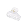 Women's Plastic Resin Fashion Ol Baking Paint Grab Hair Claw Clip Allmatch Hair Accessories