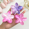 Women's Plastic Resin Flower Grab Clip Hair Accessories With Electroplating Highend Style
