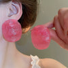 Women's Plastic Resin Geometric Electroplated Fashion Earrings