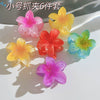 Women's Plastic Resin Hairpin Set With Flower Shape And Injection Molding Process Color Spray Painted