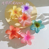 Women's Plastic Resin Hairpin Set With Flower Shape And Injection Molding Process Color Spray Painted