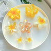 Women's Plastic Resin Hairpin Set With Flower Shape And Injection Molding Process Color Spray Painted