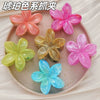 Women's Plastic Resin Hairpin Set With Flower Shape And Injection Molding Process Color Spray Painted