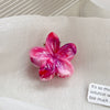 Women's Plastic Resin Handmade Little Fresh Style Plants Flowers Hair Grab Clip