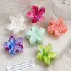 Women's Plastic Resin Handmade Little Fresh Style Plants Flowers Hair Grab Clip