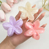 Women's Plastic Resin Highend Flower Hair Clip Threepiece Set With Baking Paint
