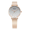 Women's Quartz Watch Alloy Stainless Steel Round Dial Leisure Style