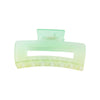 Women's Retro Butterfly Hair Shark Clip With Frosted Gradient Color And Baking Paint Design