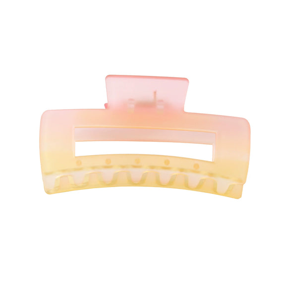 Women's Retro Butterfly Hair Shark Clip With Frosted Gradient Color And Baking Paint Design
