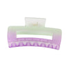Women's Retro Butterfly Hair Shark Clip With Frosted Gradient Color And Baking Paint Design