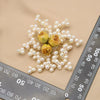Women's Retro Pearl Brooch With Electroplated Rose And Snowflake Geometric Design Elegant Clothing Accessory Jewelry