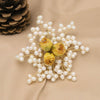 Women's Retro Pearl Brooch With Electroplated Rose And Snowflake Geometric Design Elegant Clothing Accessory Jewelry