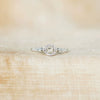 Women's S925 Sterling Silver Geometric Round Zircon Ring Jewelry With Electroplating