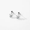 Women's S925 Sterling Silver Hollow Star Diamond Earrings Simple Exquisite