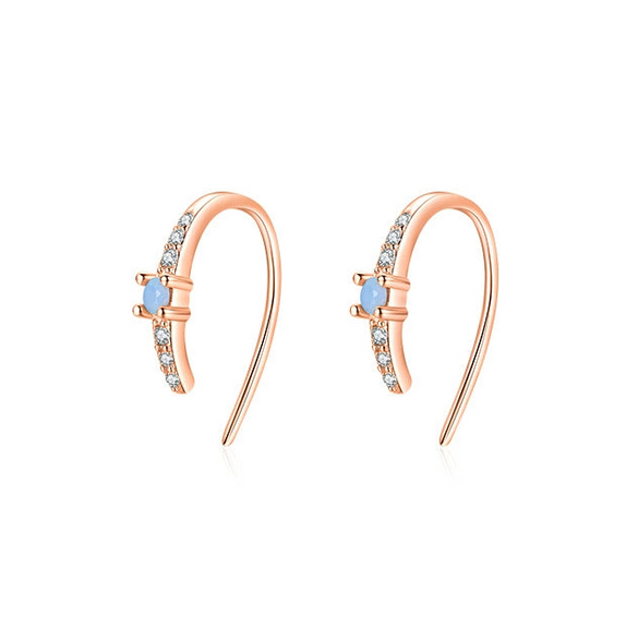 Women's S925 Sterling Silver Micropaved Zircon Inlaid Geometric Earrings Casual Fashionable Simple Design
