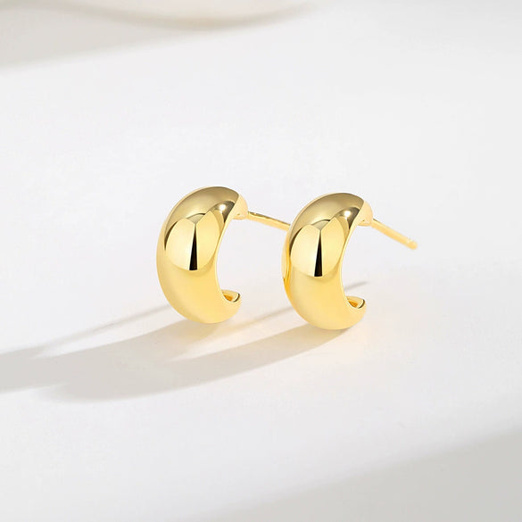 Women's 925 Silver Ushape Geometric Retro Electroplated Earrings