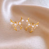 Women's Silver Zircon Round Faux Pearl Highend Light Luxury Vintage Earrings With Geometric Design And Inlaid Zircon